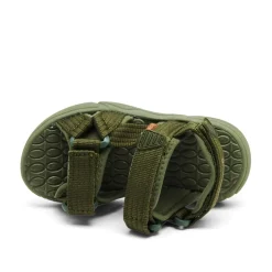 Louis Sandaler, Olive, 36