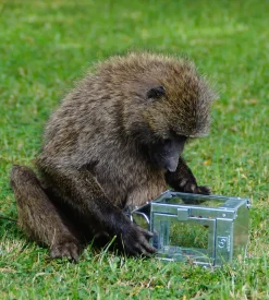 Micro Lanterne, Galvanized, 12,5x25x12,5 cm