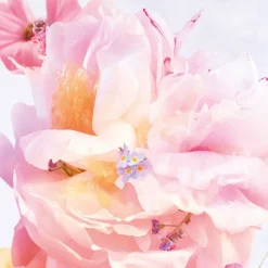 Miss Dior Blooming Bouquet Eau De Toilette, 50 ml