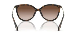 0MK2184U Solbriller, Brun