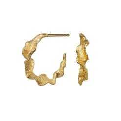 Nino Øreringe, Guld