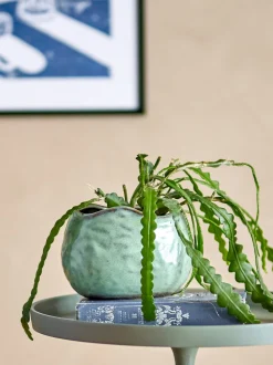 Pennie Urtepotteskjuler, Green