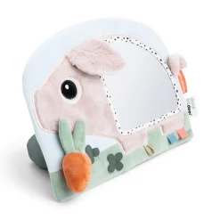 Pigee Aktivitetsspejl