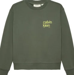 Relaxed Back Print Sweatshirt, Thyme, 152 cm