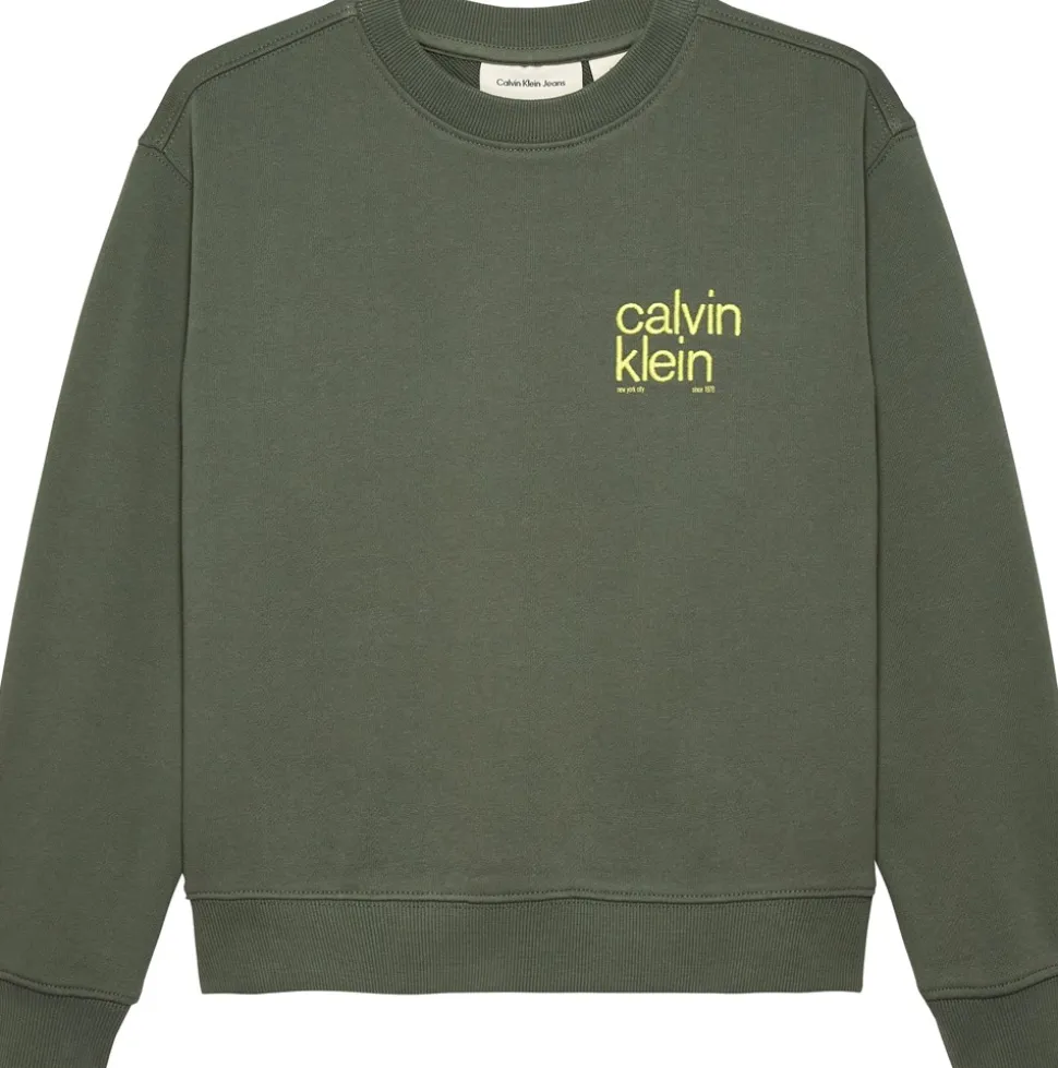 Relaxed Back Print Sweatshirt, Thyme, 152 cm