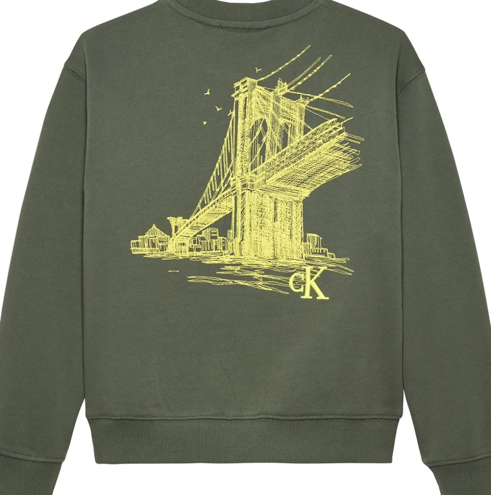 Relaxed Back Print Sweatshirt, Thyme, 152 cm