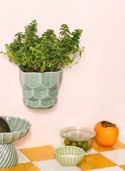 Samsurium Væghængt Urtepotteskjuler, Eucalyptus