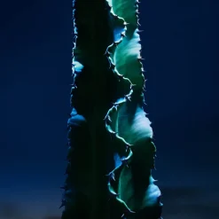 Sauvage The Toner Face Toner Lotion, 100 ml