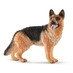 Schæferhund