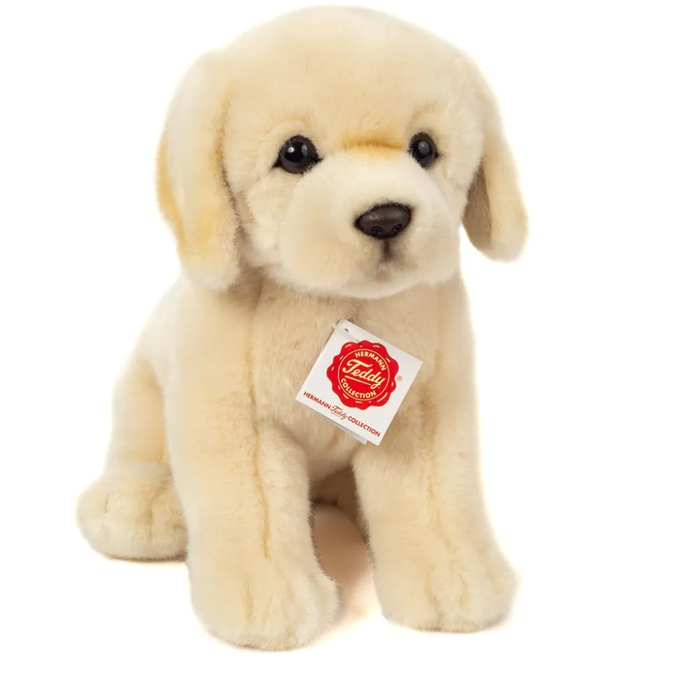 Siddende Golden Retriever, Brun
