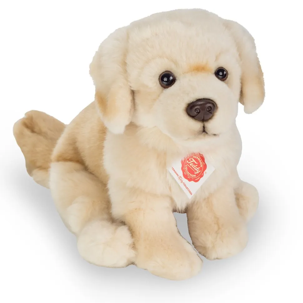 Siddende Golden Retriever, Brun