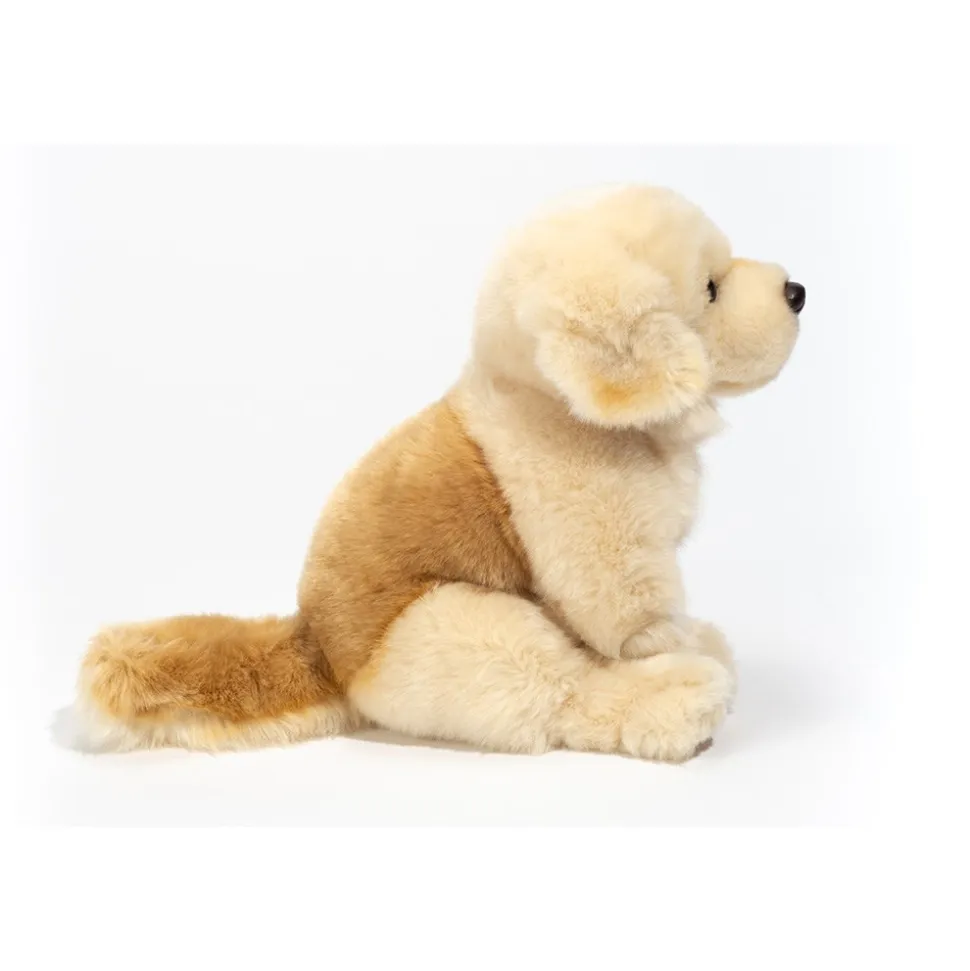 Siddende Golden Retriever, Brun