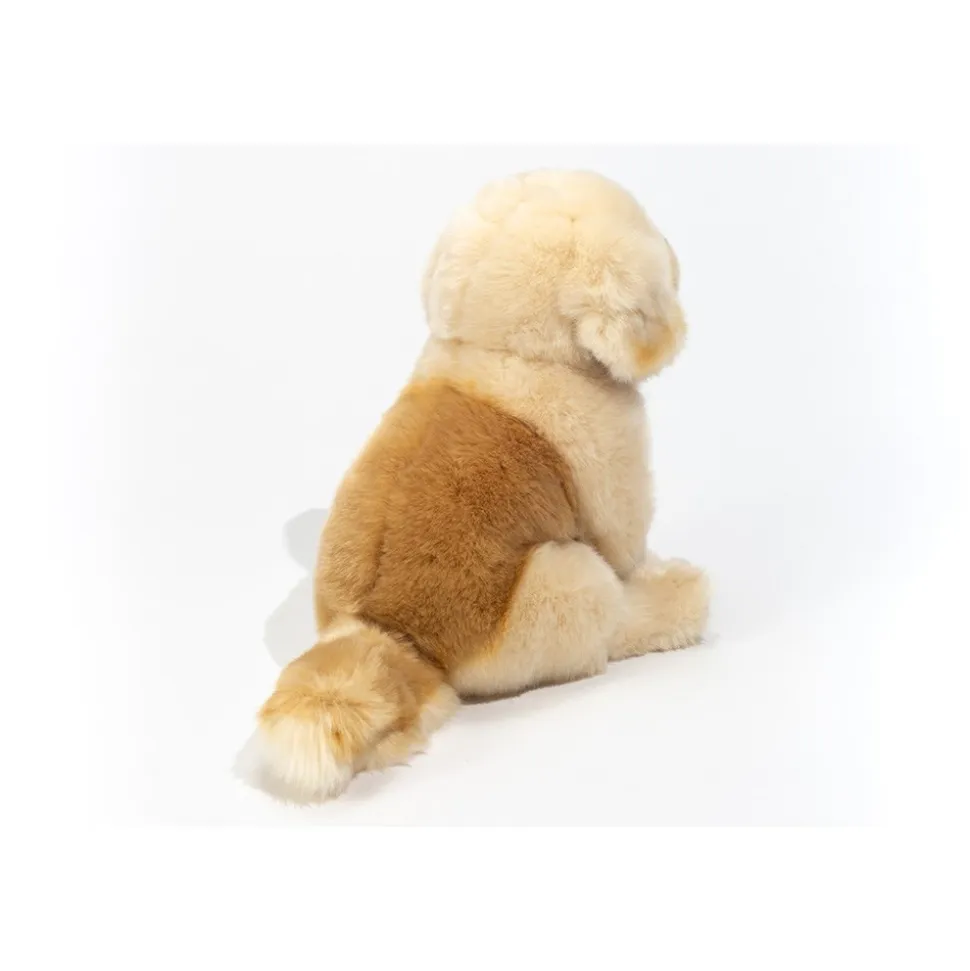 Siddende Golden Retriever, Brun