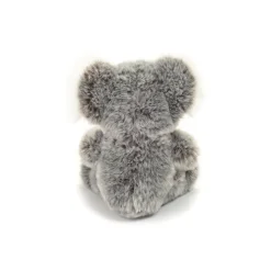 Siddende Koala, Grå