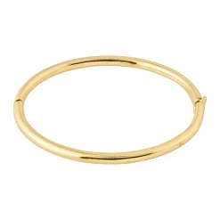 Sophia Armring, Guld