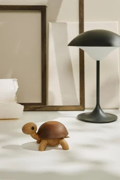 Speedy Skildpaddeunge