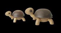 Speedy Skildpaddeunge