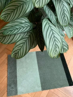 Stripe Horisontal Gulvtæppe, Grøn/Støvet/Mørk Grøn, 60x90 cm