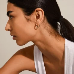 Taffy Swirl Creoler, Guld