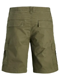 Tcole Mateo Cargo Shorts, Olive Night, M