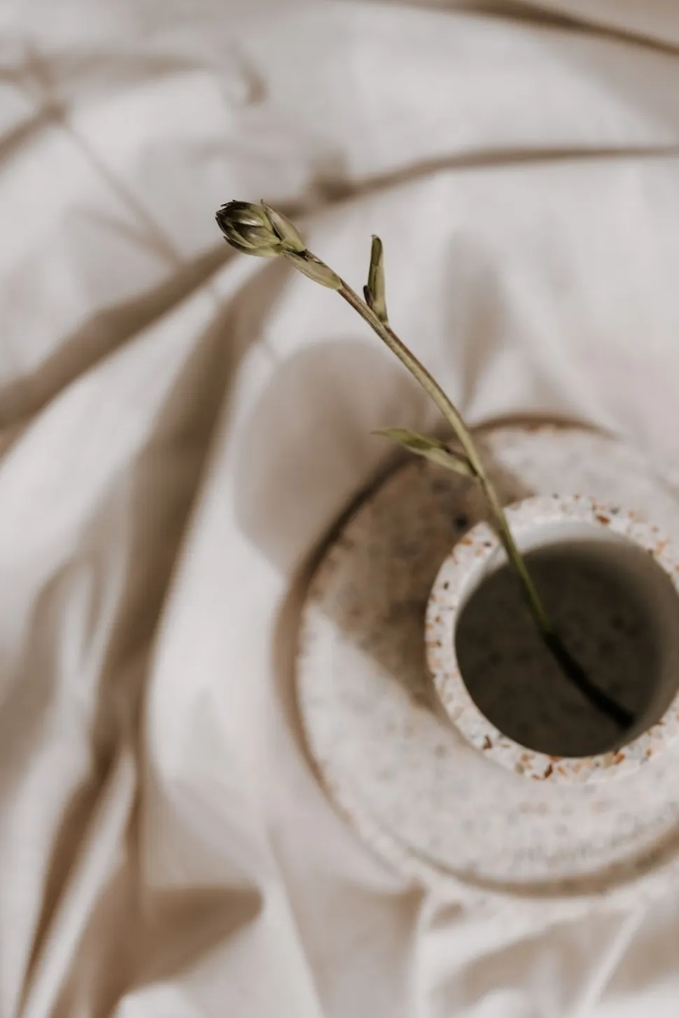 Terrazzo Tandbørsteholder, Rød/ Beige