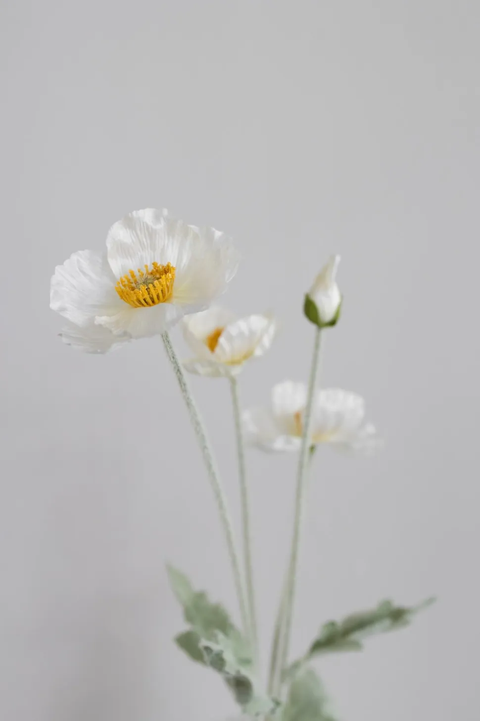 Valmue Kunstig Blomst, Cream