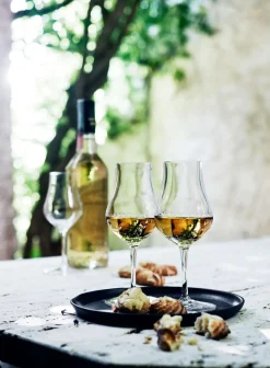 Vinoteque Spirits 2-pak Rom- Eller Whiskeyglas, Klar, 17 cl