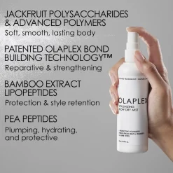 Volumizing Blow Dry Mist, 150 ml