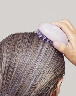 Wet Hair Detangler Brush, Lilla
