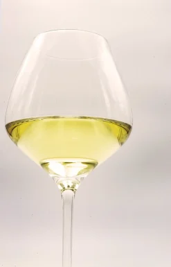 White Sand 4-pak Hvidvinsglas, Klar, 46 cl