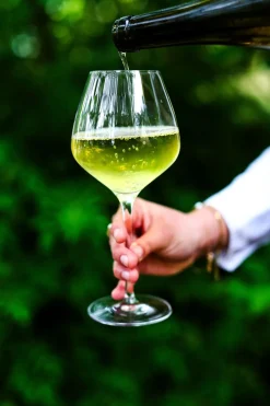 White Sand 4-pak Hvidvinsglas, Klar, 46 cl