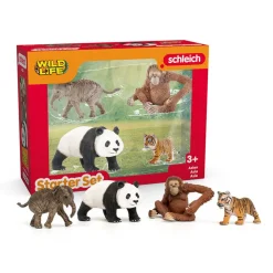 Wild Life Asia Startsæt