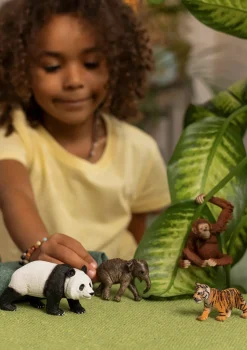 Wild Life Asia Startsæt