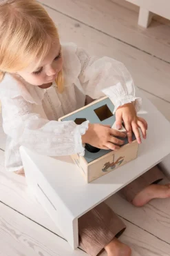 World Of Sebra Puttekasse