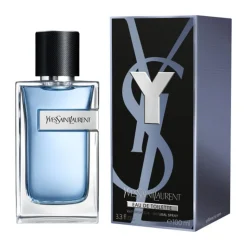 Y Eau De Toilette, 100 ml