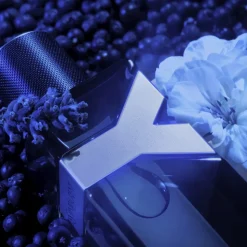 Y Intense Eau De Parfum, 100 ml